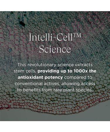 Intelligent Nutrients Re Generative Eye Gel - Plant Stem Cell Eye Treatment (0.5 oz) - Buy Online on SooperMarket.com