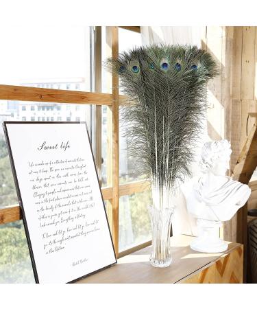 Soarer Long Peacock Feathers Bulk - 25pcs 32-35 inches for Vase, Holiday Decoration & DIY Crafts - Buy Online on SooperMarket.com