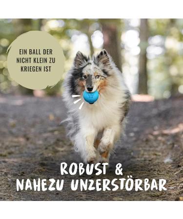 Rudelk nig Dog Ball - Indestructible Natural Rubber - 2-Pack Orange & Blue - 6.5cm - Perfect for Dogs - International Shipping - Buy Online on SooperMarket.com