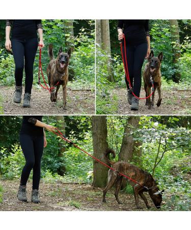 Buy Lionto Adjustable Dog Leash - Multifunctional Weatherproof 200 cm Red | Perfect for Medium Dogs - Shop Internationally! - Buy Online on SooperMarket.com