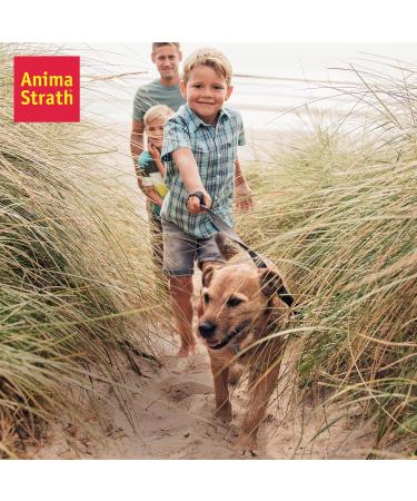 Anima-Strath Natural Food Supplement for Dogs & Cats | Immune System & Digestive Care with 61 Vital Nutrients Vitamins Minerals Amino Acids & Prebiotic Qualities | BARF Diet Food Topper (250 ml) Herbal 250 ml (Pack of 1) - Buy Online on SooperMarket.com