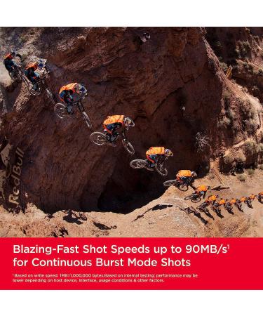 SanDisk 128GB Extreme SDXC Memory Card - C10 U3 V30, 4K UHD SD Card | SDSDXVA-128G-GNCIN - Buy Online on SooperMarket.com