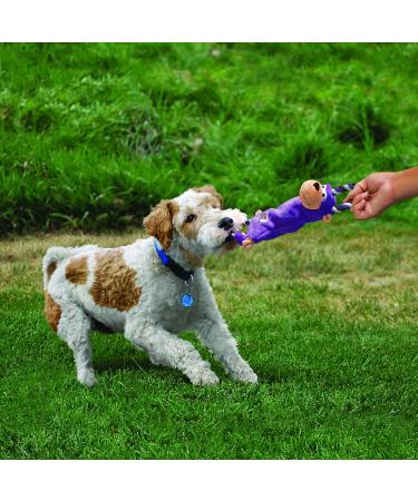 KONG Tugger Knots Frog Toy - Durable Tug Toy for Small/Medium Dogs - Minimally Filled & Robust Loops - 1 Piece - Buy Online on SooperMarket.com