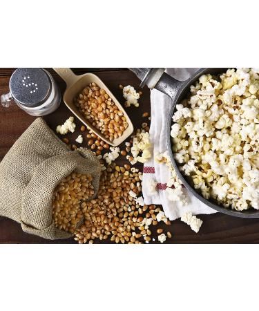 Amish Country Popcorn Buttery Topping 16 oz Jar - Non-GMO, Gluten-Free | Old-Fashioned Popcorn Seasoning - 16 Fl Oz - Buy Online on SooperMarket.com