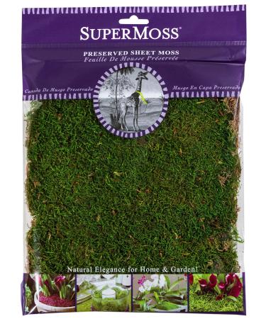 SuperMoss (21509) Sheet Moss Preserved, Fresh Green, 2oz Fresh Green 80.75 in3 Bag (Appx. 2oz)