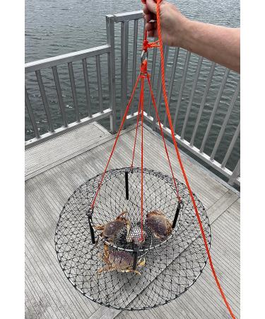 AirFly 4 Arm Harness Crab Trap Combo | 304 Stainless Steel Hooks & Buoy Float - Buy Online on SooperMarket.com
