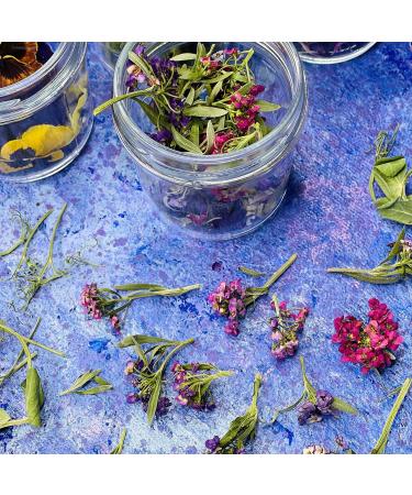 Edible Dried 'Enchanted' Flower Petal Cake Decorating Gift Set- 6 x 120ml Jars In Beautiful Presentation Box - Violas Pansies Cornflower Alyssum Pea Shoot Tendrils Nasturtium Leaves (464) - Buy Online on SooperMarket.com