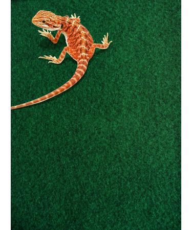 Komodo Reptile Carpet 120 x 60 cm Reptile Substrate Great for all Terrariums and Vivariums 120x60cm