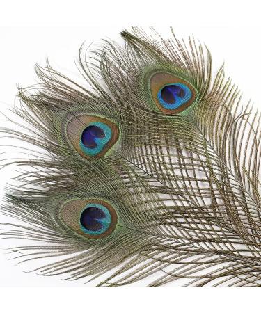 Soarer Long Peacock Feathers Bulk - 25pcs 32-35 inches for Vase, Holiday Decoration & DIY Crafts - Buy Online on SooperMarket.com