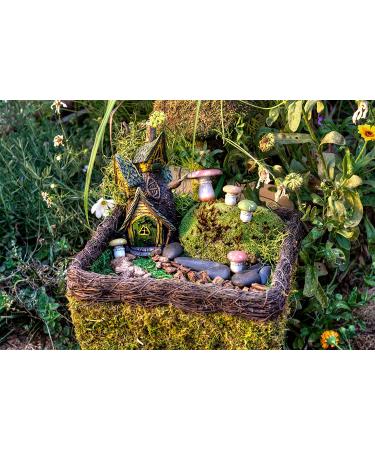 SuperMoss Fairy Garden Kit - 4 oz Mixed Mosses (50310) - Buy Online on SooperMarket.com