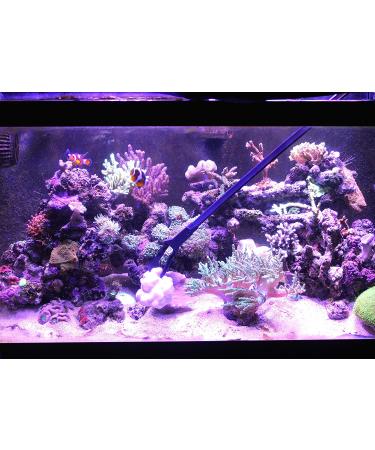 AquaticHI 27 inch Aquarium Tongs - 100% Reef Safe | Multi Purpose Fresh and Saltwater Fish Tank Tool for Clip Plants, Spot Feed Fish and Coral | Keep Hands Dry - Buy Online on SooperMarket.com