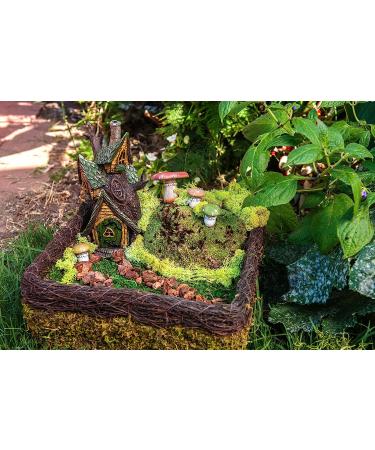 SuperMoss Fairy Garden Kit - 4 oz Mixed Mosses (50310) - Buy Online on SooperMarket.com
