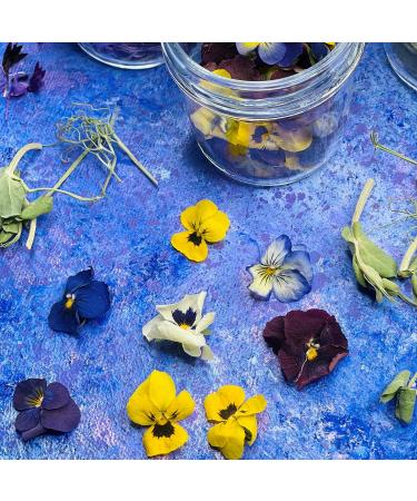 Edible Dried 'Enchanted' Flower Petal Cake Decorating Gift Set- 6 x 120ml Jars In Beautiful Presentation Box - Violas Pansies Cornflower Alyssum Pea Shoot Tendrils Nasturtium Leaves (464) - Buy Online on SooperMarket.com