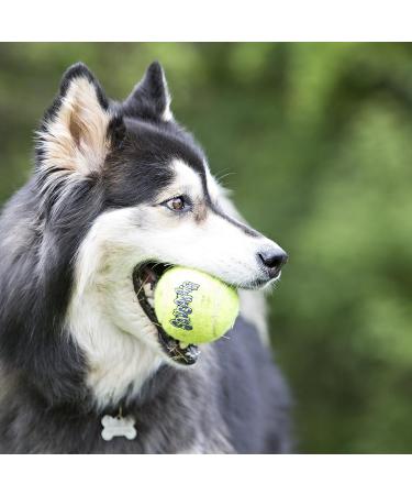 KONG - Squeakair Balls - Dog Toy Premium Squeak Tennis Balls Gentle on Teeth - For Small Dogs (3 Pack) yellow S (Pack of 3) - Buy Online on SooperMarket.com