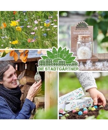 City Gardeners Trostspender: Forget-Me-Not Glass Gift | Handmade Consolation for Friends Teachers & Encouragement | Unique Farewell Gift from Germany - Buy Online on SooperMarket.com