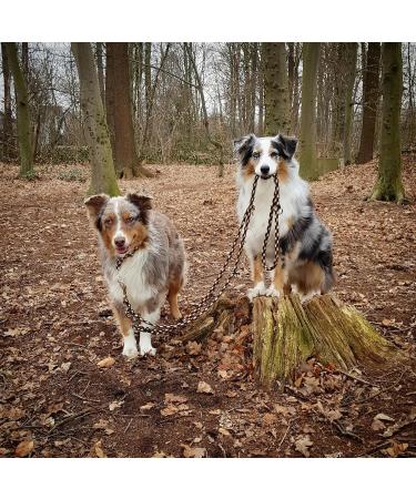 Buy Double Dog Leash for Medium Dogs (Up to 45 kg) - 39 Colors Available - Durable 2.40 m Black Training Leash - Buy Online on SooperMarket.com