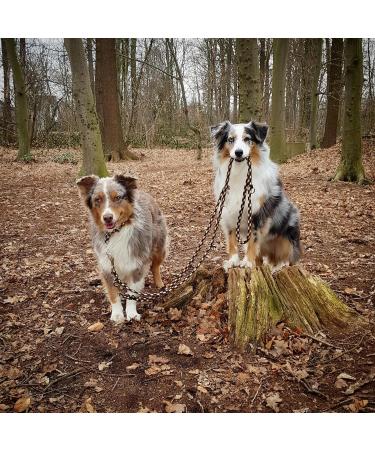 Dogeline Double Leash for Medium Dogs - 3.50m Practice Line (45kg) - 39 Colors Available | Durable Black-Orange Option - Buy Online on SooperMarket.com