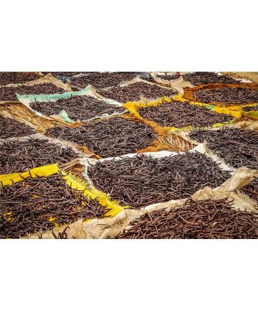 Vanilla Beans - Grade B Pods for Baking, Brewing, Cooking - (Tahitian) 10 Count - Buy Online on SooperMarket.com
