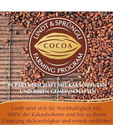 Lindt & Spr ngli Fine Baking Cake Mix - 400g Chocolate Cake Lactose-Free 8 Portions | Premium Baking Mix International Shipping - Buy Online on SooperMarket.com