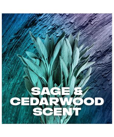 AXE Apollo Body Spray Deodorant for Men - Sage & Cedarwood Aluminum-Free Long-Lasting Odor Protection 4.0 oz - International Shipping Available - Buy Online on SooperMarket.com