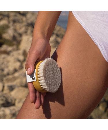 Ruhi 100% Natural Soft Body Brush - FSC-Certified Beech Wood Plastic-Free Lymphatic Drainage & Cellulite Massage - Made in Germany - Buy Online on SooperMarket.com