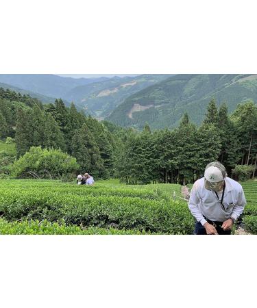 Japanese Kabusecha Green Tea "Hikari" - Fine Product Award by Nihoncha Award - 100% Japanese Green Tea by CHILL TEA Tokyo - First Flush Loose Leaf - Deep Umami - 60g - Buy Online on SooperMarket.com