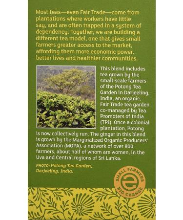 Buy Equal Exchange Organic Green Tea with Ginger - 20 Tea Bags (1.05 oz) | Premium Quality & Flavor - Buy Online on SooperMarket.com