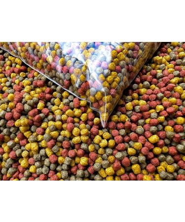 HERONS Koi Trio Pellets 3mm Premium Fish Food - 1Kg | Prebiotic with Spirulina, Omega 3 & Amino Acids | Enhances Color & Growth for Japanese Koi & Pond Fish - Buy Online on SooperMarket.com
