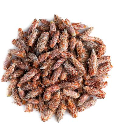 Pine buds tea quality - pine branches or pine buds needles - pine harvest pine buds bio pine pine pine buds tea pine buds 350g