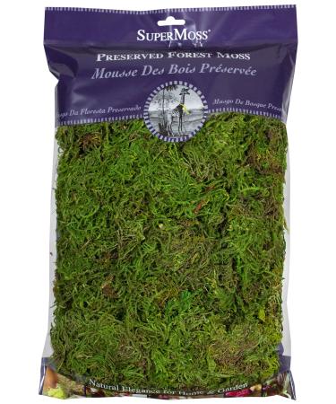 SuperMoss (25322) Forest Moss Preserved, Fresh Green, 8oz 200 in3 Bag (Appx. 8oz)