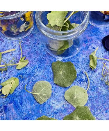 Edible Dried 'Enchanted' Flower Petal Cake Decorating Gift Set- 6 x 120ml Jars In Beautiful Presentation Box - Violas Pansies Cornflower Alyssum Pea Shoot Tendrils Nasturtium Leaves (464) - Buy Online on SooperMarket.com