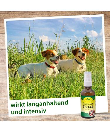 Insectovet Combi Spray 50 ml - Effective Insect Repellent for Pets | Fast International Shipping - Buy Online on SooperMarket.com