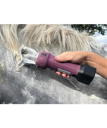 Masterclip Cordless Horse Clipping Combo - HD Roamer Heavy Duty with Showmate Mark II Trimmer - Available in 3 Colourways (with Blue Showmate) - Buy Online on SooperMarket.com