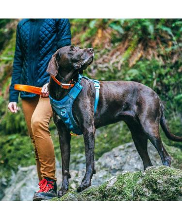 Kurgo Journey Air Dog Harness - Padded Chest & Back Handle for Active Dogs - Size XL Blue | International Shipping Available - Buy Online on SooperMarket.com