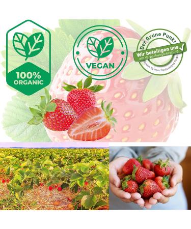 Buy Organic Fruit Bar Strawberry - 4x30g Lubs | Vegan & Kid-Friendly | Certified Organic Snack - Buy Online on SooperMarket.com