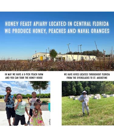 HONEY FEAST Organic Lavender Honey 12oz | Gourmet Flavored Honey for Tea, Cooking & Baking | Florida Beekeeper-Bottled - Buy Online on SooperMarket.com