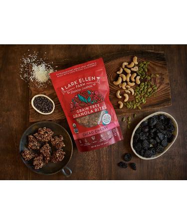 Lark Ellen Farm Organic Paleo Granola Bites - Cacao Cherry 8 oz (Pack of 3) - Buy Online on SooperMarket.com
