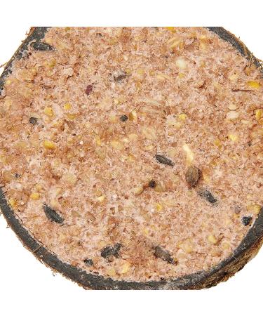 Garden Ting Berry Coconut Suet Halves Wild Bird Treat 400 g Coconut 400 g (Pack of 1) - Buy Online on SooperMarket.com