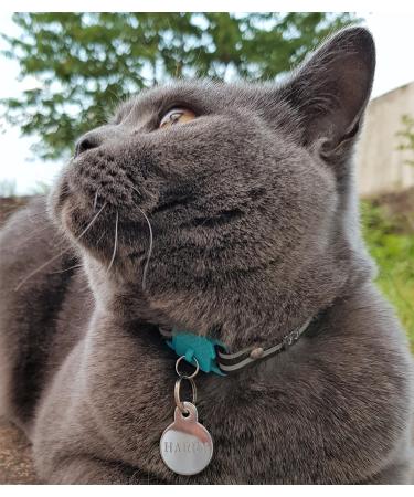 Kittyrama Cat & Kitten Neck Bands | As Seen in Vogue | Vet Approved Breakaway Hypoallergenic | Explore Stylish Havana & More - Buy Online on SooperMarket.com