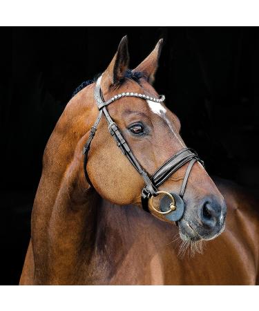 HORZE Clermont Genuine Leather Snaffle Bridle | Ergonomic Design with Flash Noseband | Black Warmblood Size - Buy Online on SooperMarket.com