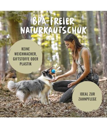 Rudelk nig Dog Ball - Indestructible Natural Rubber - 2-Pack Orange & Blue - 6.5cm - Perfect for Dogs - International Shipping - Buy Online on SooperMarket.com