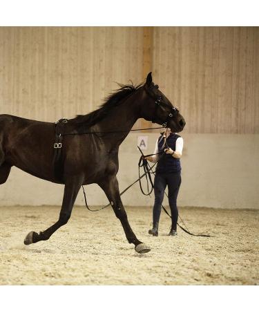 Horze Nylon Lunging Cavesson - Black Cob - Adjustable Training Headcollar - Buy Online on SooperMarket.com