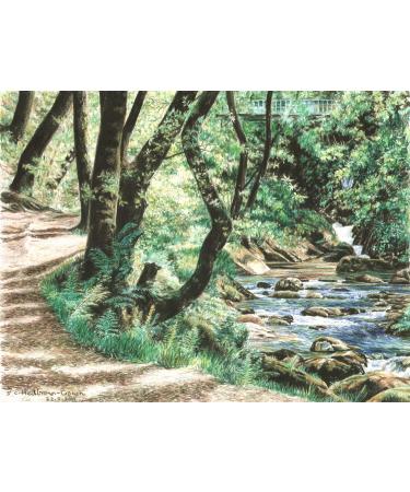 Strathmore 300 Series Bristol Smooth 9x12 Pack of 2 - Buy Online on SooperMarket.com