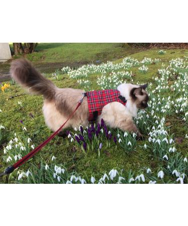 Mynwood Cat Jacket/Harness Royal Stewart Tartan Adult Cat