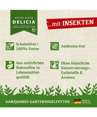 DELICIA Premium Insect Bird Balls - 6 Pack for Garden & Wild Birds | Meisen Dumplings with Hangers - High-Quality Bird Feed - Buy Online on SooperMarket.com