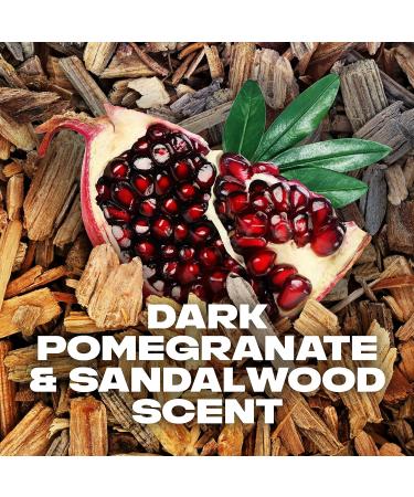 AXE Dual Action Body Spray Deodorant for Long Lasting Odor Protection Anarchy Pomegranate & Sandalwood Mens Deodorant Formulated Without Aluminum 4. 0 oz Twin Pack - Buy Online on SooperMarket.com
