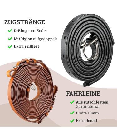 Esposita Professional Carriage Dishes for Shetty Pony & Horse - Mini to XL - Black - Buy Online on SooperMarket.com