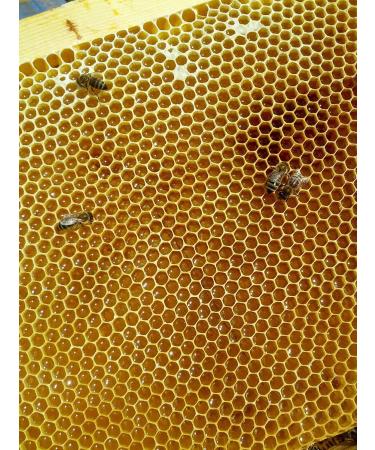 100% Pure Natural Wildflower Meden Honey - 900g - Unfiltered Unheated Unpasteurized Crystallised Honey - Buy Online on SooperMarket.com