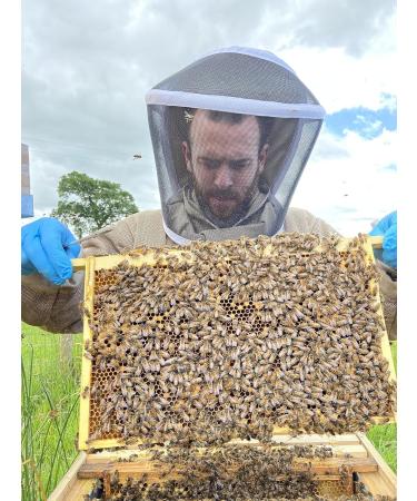 Gwenyn Gruffydd - British Blossom Honey 3kg Bulk Catering Tub - 100% Pure Natural Unpasteurized Raw Honey - Bulk Honey 3kg - Unheated - Gluten Free - Premium Honey from Non-Sugar Fed Bees UK - Buy Online on SooperMarket.com