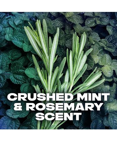 AXE Dual Action Deodorant Stick Phoenix Crushed Mint & Rosemary Men's Deo 3oz Twin Pack - Buy Online on SooperMarket.com